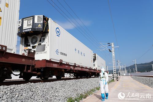 磨憨铁路口岸 构筑舌尖自由的冷链大通道
